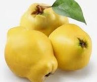A birsalma (Cydonia oblonga) a kulturális emlékek szerint több mint négyezer éve ismert, és egyes Biblia-fordítók, -elemzők szerint az a bizonyos tiltott alma is birs volt valójában.